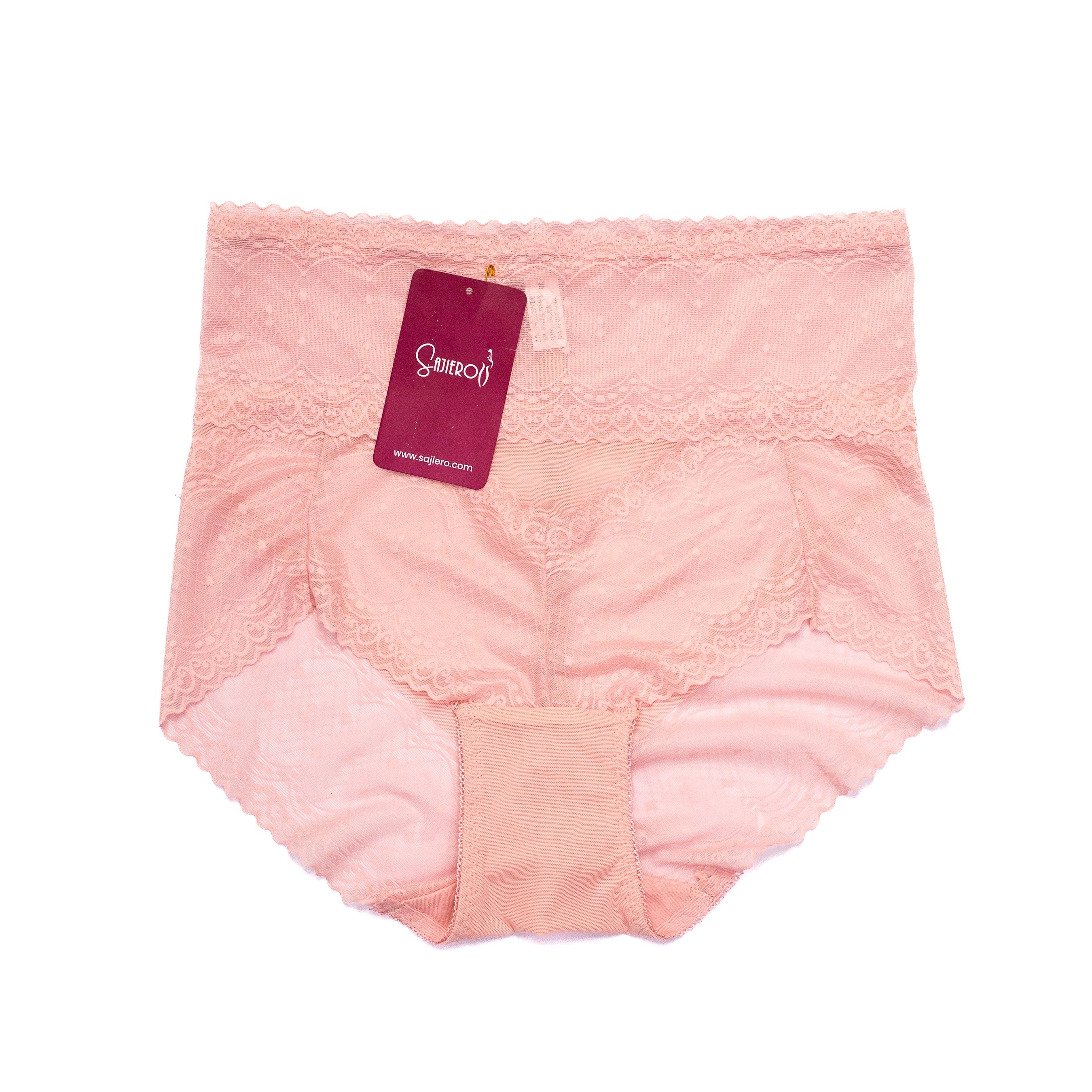 Brief Style Plus Size Net Panty