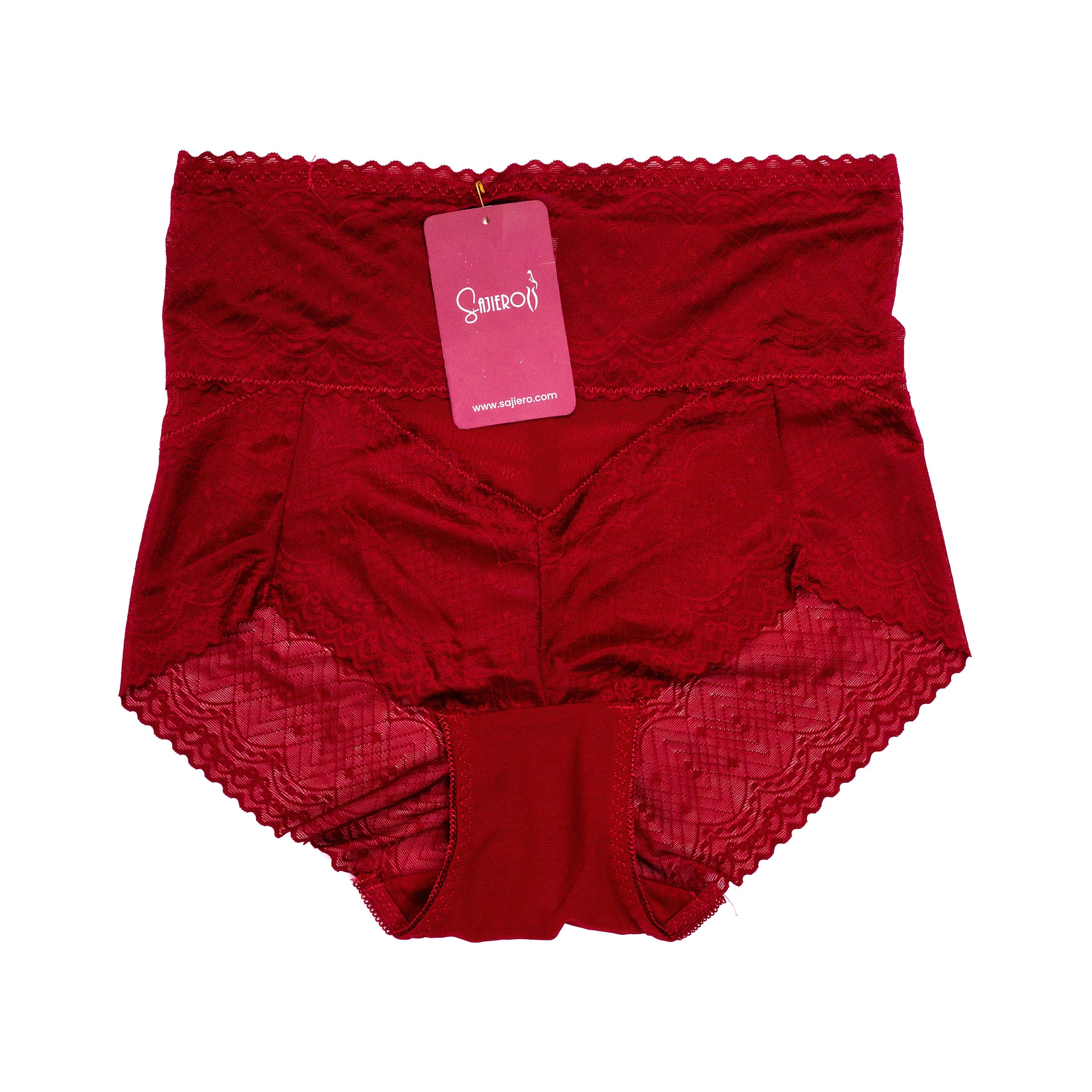 Brief Style Plus Size Net Panty